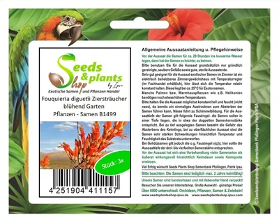 Produktbild von 3x Fouquieria diguetii Ziersträucher blühend Garten Pflanzen - Samen B1499