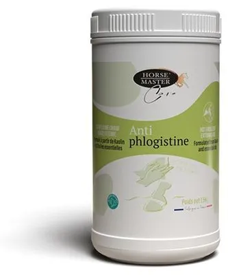 Zdjęcie produktu dla Antiphlogistin - Środek Przeznaczony Dla Koni