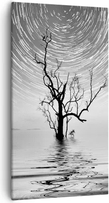 Produktbild von Bild auf Leinwand - Leinwandbild - Einteilig - Schwarzweiß Baum See - 55x100cm - Wand Bild - Wanddeko - Wandbilder - Leinwanddruck - Bilder - Wanddekoration - Leinwand bilder - PA55x100-4253