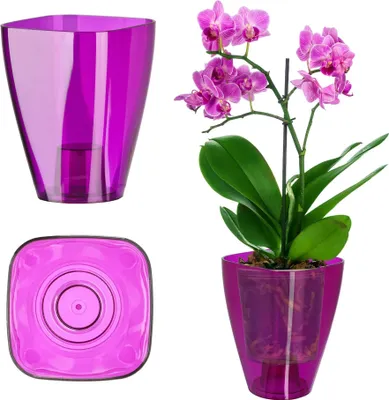 Obrázok produktu pre Kvetináč na orchidey – plastový kvetináč – veľký – dekoratívny – do interiéru – fialový