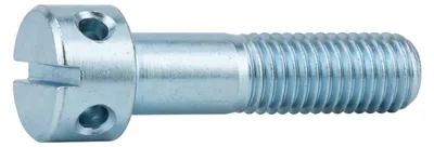 Zdjęcie produktu dla DIN 404 Śruba z otworem krzyżowym do głowicy cylindrów M3x8 stal 5.8 jasna z rowkiem 100 szt
