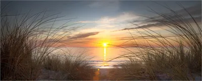 Produktbild von Wallario selbstklebendes Poster - Sonnenuntergang am Strand, Größe: 80 x 200 cm