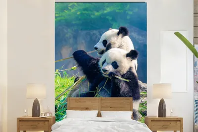 Produktbild von MuchoWow® Fototapete für Wohnzimmer oder Schlafzimmer Wandtapete Vinyl Motivtapete Panda - Bambus - Gras - Tiere - 195x300 cm - Das Hintergrundbild