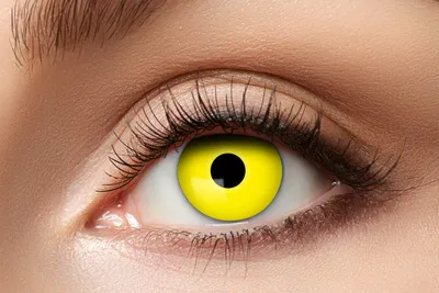 Produktbild von Wöchentliche GELBE Raven's Eye Linsen 1 Set