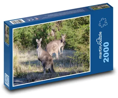 Obrázok produktu pre martinpuzzle - Puzzle 2000 - Klokany