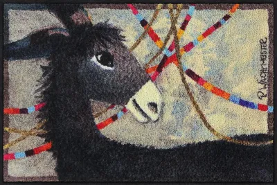 Produktbild von Salonloewe OLGA Fußmatte Wohnmatte 50 x 75 cm