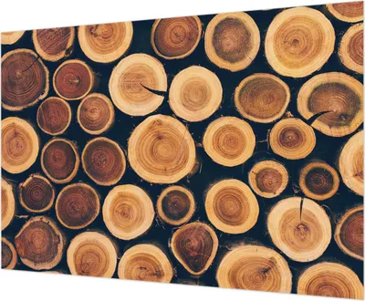 Produktbild von Wandtapete - Dekorative Tapete für Wohnzimmer - Tapetenfolie für Wanddekoration - 208x146 cm - Holzkreise