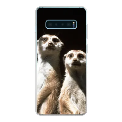 Produktbild von MuchoWow® Handyhülle Schutzhülle Hülle für Samsung Galaxy S10 Lite Schwarz - Erdmännchen - Tiere Silikon Softcase Handy Hülle - Schutz