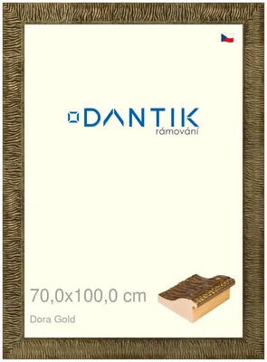 Obrázek produktu pro DANTIK rámeček 70x100 | Dora Gold (Plexi Čiré)