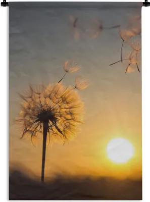 Produktbild von MuchoWow® Wandteppich Wandbehang Löwenzahn - Sonne - Sonnenuntergang 120x180 cm Tapisserie Dekoration Wandtuch - Schlafzimmer - Dekorationen für das Haus