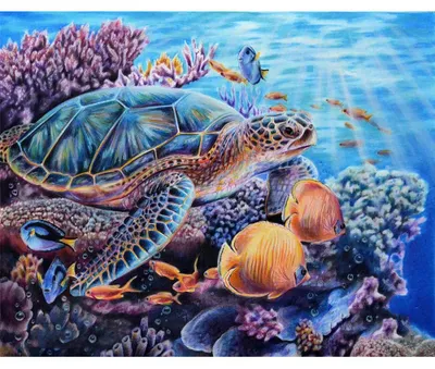5D Diamond Painting Kit, Schildpad, 30x40 cm, DIY