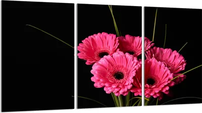 Produktbild von Glasschutzplatte für Herd 3x30x52