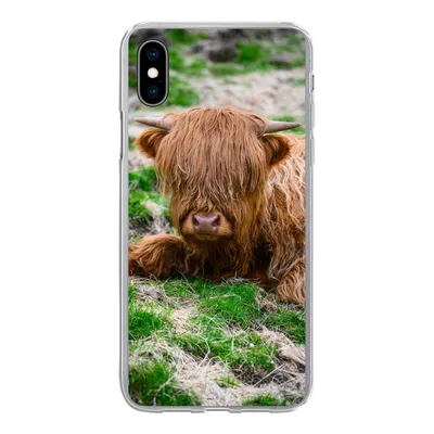 Produktbild von MuchoWow® Handyhülle Schutzhülle Hülle für iPhone Xs Schottischer Highlander - Heu - Gras Silikon Softcase Handy Hülle - Handytasche