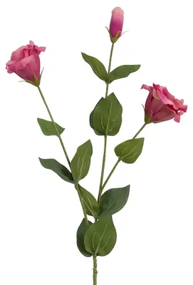 Immagine prodotto di Clayre & Eef, fiore artificiale rosa, plastica