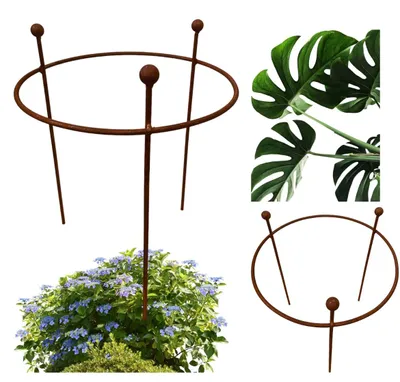 Zdjęcie produktu dla Stylowa podpora do kwiatów, hortensji, piwonii 40 cm / 55 cm – metalowa, rdza dekoracyjna