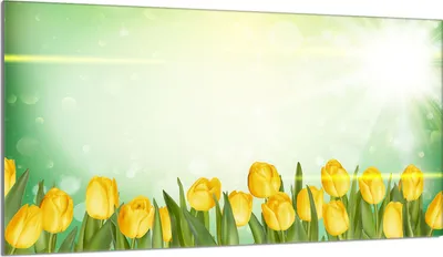 Produktbild von Glas-Herdplattenschutz 90x52 Tulpen