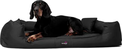 Produktbild von tierlando® Orthopädisches Hundebett GOOFY >> inkl. Matratzenschoner << Polyester - Größe: 90x75cm | Farbe: 03 Schwarz