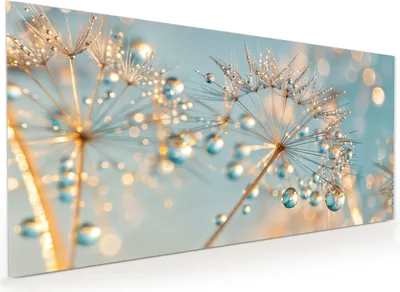 Produktbild von Küchenrückwand Spritzschutz Glas mit Motiv Pusteblume Wassertropfen 40 x 40 cm