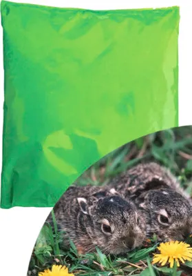 Produktbild von Wildackermischung Hasenapotheke Kiepenkerl 1kg Kräutersamen mit Klee für Hasen, Kaninchen und Schalenwild