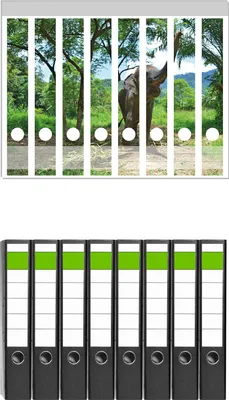 Produktbild von Wallario 8 Stück schmale Ordner inkl. Klebeetiketten mit Motive Junger Elefant im Dschungel -  Set mit Rückenschildern / Ordnerrücken Stickern