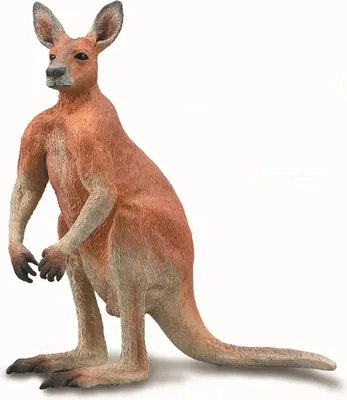 Image de Figurine de kangourou rouge masculine peinte à la main