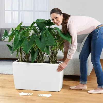 Obrázek produktu pro LECHUZA CARARO, Květináč, Volně stojící, Plast, Antracit, Obdélník, Vnitřní