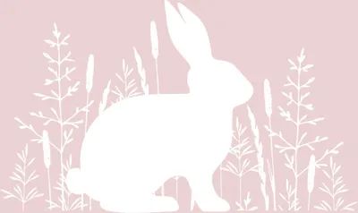 Immagine prodotto di Tovagliolo di Pasqua Rosa di Pasqua pura