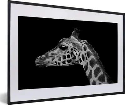 Produktbild von MuchoWow® Gerahmtes Poster Tiere - Giraffe - Schwarz - Weiß 60x40 cm - Poster mit Schwarzem Bilderrahmen Wandposter Rahmen Foto Bilder - Schlafzimmer - Plakat in Rahmen - Drucken