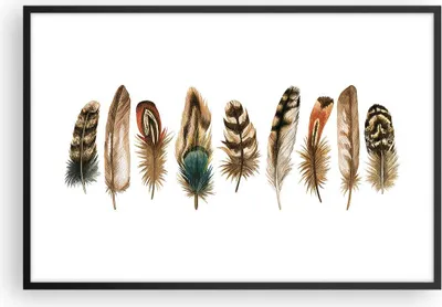 Produktbild von Gerahmtes Poster - Schwarzer Rahmen - Weiß Hintergrund Federn - 91,5x61 cm - Wand Bild - Wanddeko - Wandbilder - Kunstposter - Wandposter - Bilderrahmen - Bilder - Kunstdruck - P2BAA91x61-4419