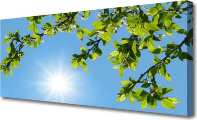 Produktbild von Tulup Leinwand-Bilder 125x50 Wandbild Canvas Kunstdruck Sonne Natur
