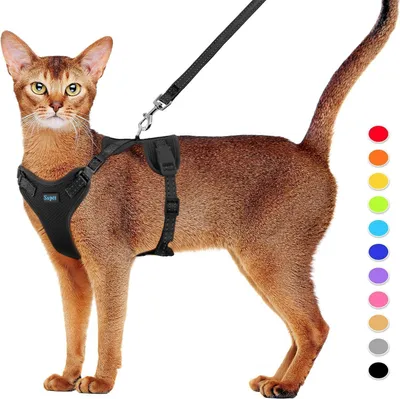 Immagine prodotto di Set pettorina e guinzaglio per gatti Supet Protezione da fuga e riflessi M Nero