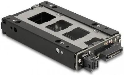 Imagen del producto de Marco intercambiable Slim de Delock para 1 unidad SSD U.2 NVMe de 2.5 pulgadas