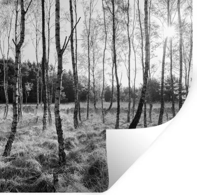 Produktbild von MuchoWow® - Wierderverwendbar - Selbstklebend