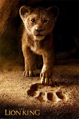 Image de The Lion King - Future King - 61x91,5cm - Affiche Poster