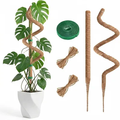 Productafbeelding van Plantensteun voor Monstera, 100 cm, 2 stuks, met bevestigingsaccessoires, geschikt voor klimplanten