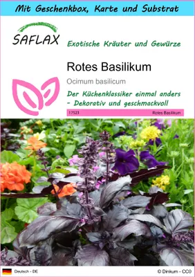 Produktbild von SAFLAX - Geschenk Set - Kräuter - Rotes Basilikum - 200 Samen - Mit Geschenk- / Versandbox, Versandaufkleber, Geschenkkarte und Anzuchtsubstrat - Ocimum basilicum