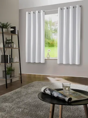 A living room scene with curtains, a shelf, and a coffee table.