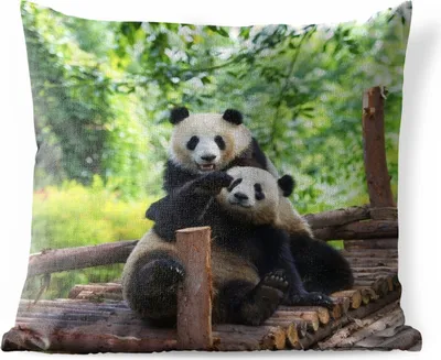 Produktbild von MuchoWow® Outdoor Kissen - Panda - Brücke - Natur - 45x45 cm - Wetterfest - Lounge Kissen - Fotokissen - Dekoratives Kissen