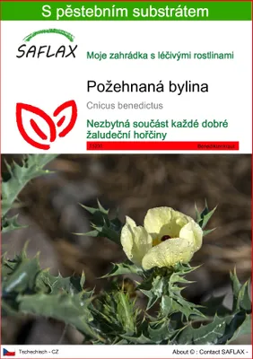 Obrázek produktu pro SAFLAX - požehnaná bylina - Cnicus benedictus - 50 Semena - S pěstebním substrátem bez klíčků