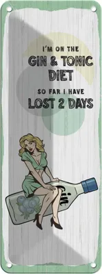 Produktbild von vianmo Blechschild 27x10 cm Pinup I´m on the Gin & Tonic Diet