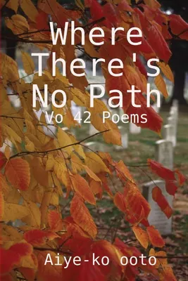 Produktbild von Where there's no path