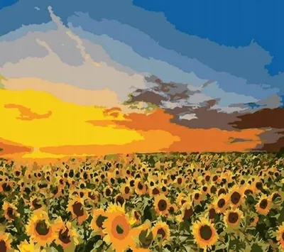 Produktbild von "Malen nach Zahlen: Sonnenblumen auf einem Feld, 40x50 cm, mit Rahmen. Kreatives Malset."