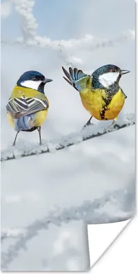 Produktbild von MuchoWow® Poster Vogel - Kohlmeise - Winter - Schnee - Zweige 60x120 cm - Wandschmuck