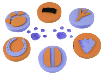 Produktbild von EDUPLAY 370018 Handflächenstempel Tierspuren 6er Set, mehrfarbig
