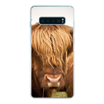 Produktbild von MuchoWow® Handyhülle Schutzhülle Hülle für Samsung Galaxy S10 Lite Schottische Highlander - Braun - Gras Silikon Softcase Handy Hülle - Schutz