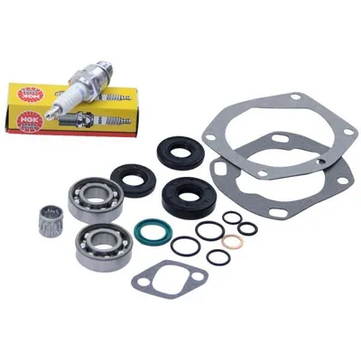 Image de Jeu de joints Hercules Optima Sachs 505/2 DY Palier SKF Bougie NGK BR8HS Joints d'étanchéité