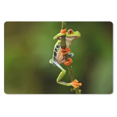 Produktbild von MuchoWow® Schreibtischunterlage Rotaugenlaubfrosch im Dschungel 60x40 cm - XXL Mauspad - Großes Mauspad
