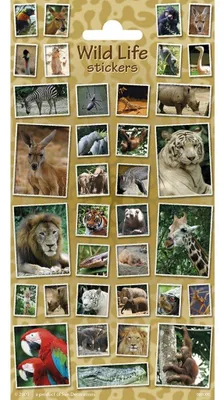 Immagine prodotto di foglio di adesivi Animali selvatici 35 pezzi multicolore