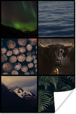 Produktbild von MuchoWow® Poster Schottische Hochlandrind - Collage - Pflanzen - Holz 120x180 cm - Kunstposter