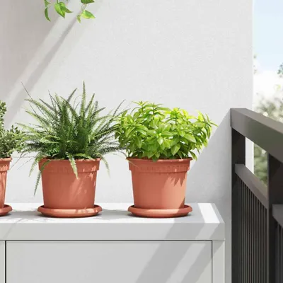 Produktbild von HOMMIE Runde Blumenplatte 24 pcs Ziegelrot Ø 14x2cm Kunststoff DE876196 - Beete